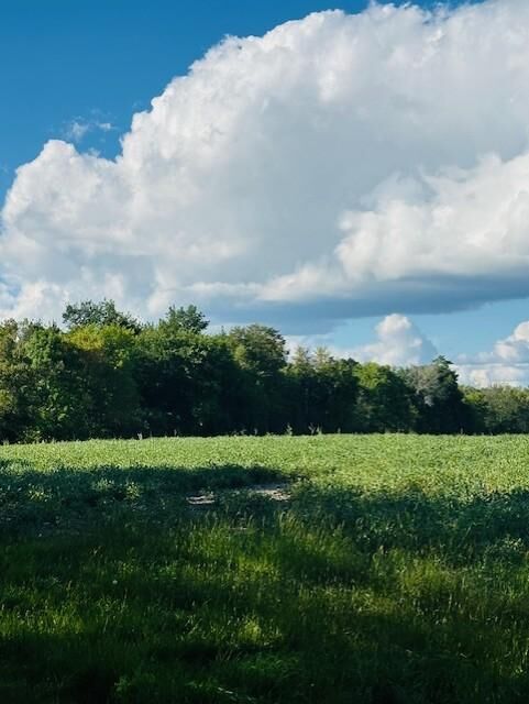 Property Photo: 8xxx Rushseba Trail MN 55069