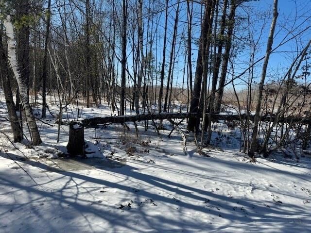 Property Photo:  00 Sterling Avenue Sec.2 Parcel 022.003  WI 54456 