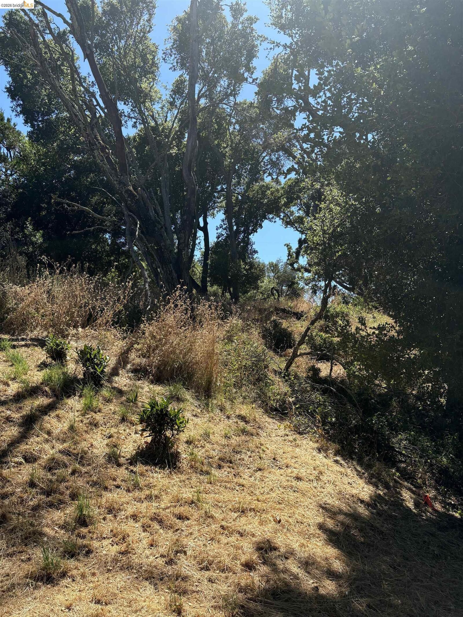 Property Photo:  Spring Rd  CA 94563 