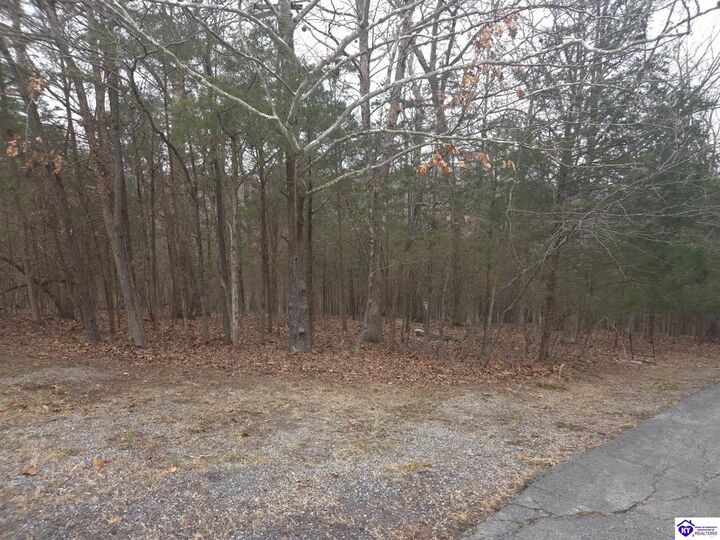 Property Photo: 137 Primrose Lane KY 40108