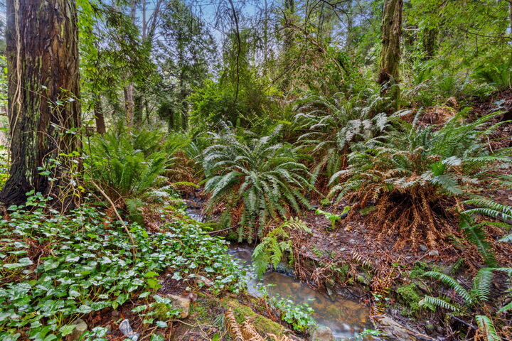 Property Photo:  207 Langford Road  CA 95570 