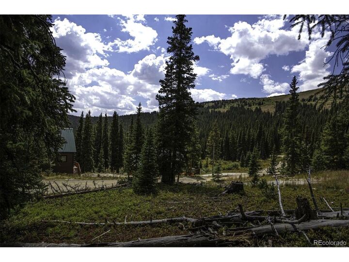 Property Photo: 233 Camron Ln CO 80424