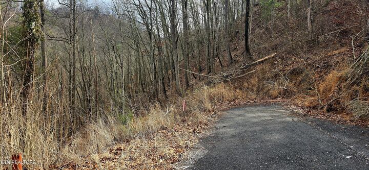 Property Photo: 3278 Emerald Springs Loop TN 37862