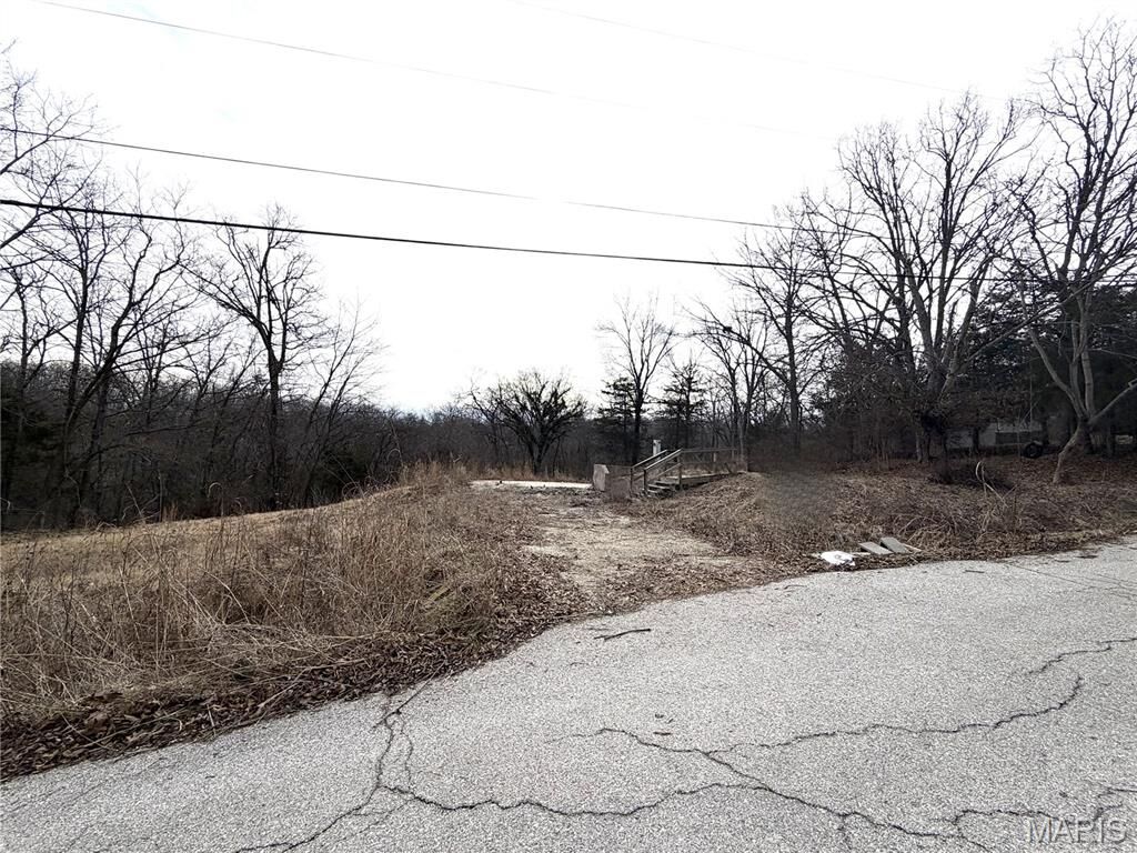 Property Photo: 324 Sirius Road MO 63020