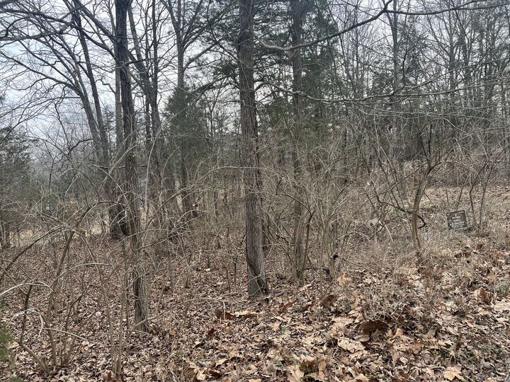 Property Photo:  Lot 14 Jill Lane  IL 62939 