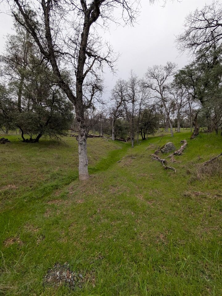 Property Photo: 18340 Henry D. Court CA 95270