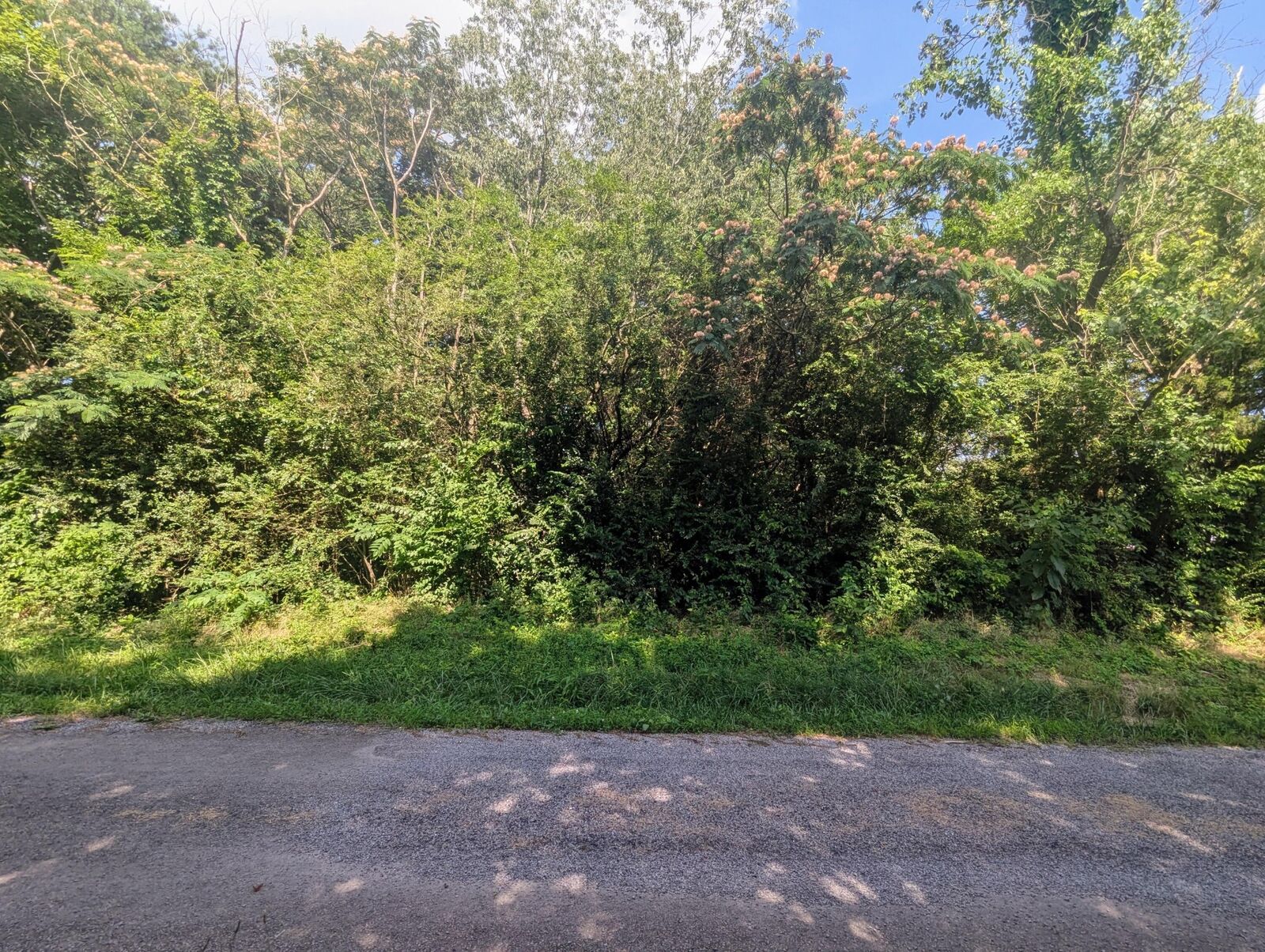 Property Photo:  0 County Road 493  TN 37331 