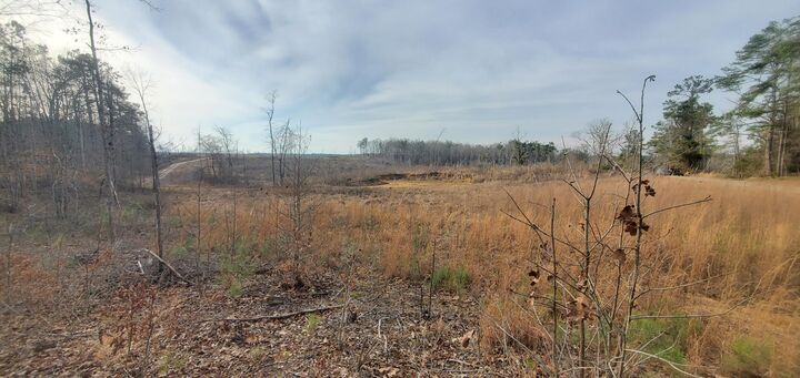 Property Photo: 85.6+/- Acres County Road 2291 MS 38829