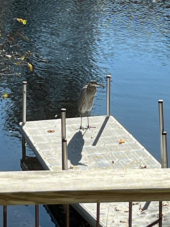 Property Photo:  83 Lake Dr  MA 02632 