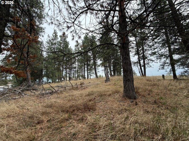 Property Photo:  210 Pine St  WA 99356 