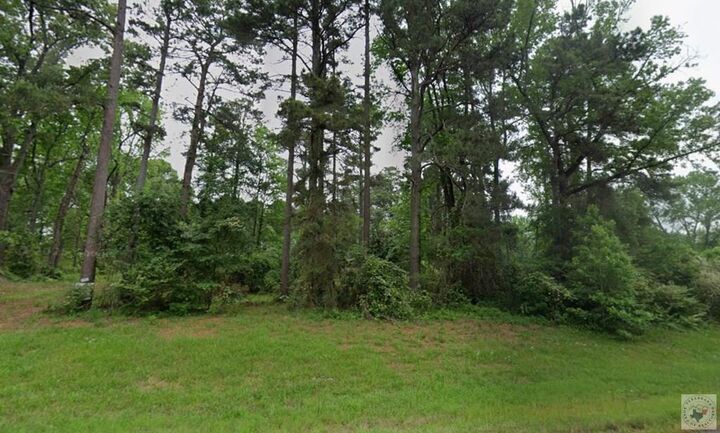 Property Photo:  506 Fm 3287  TX 75501 