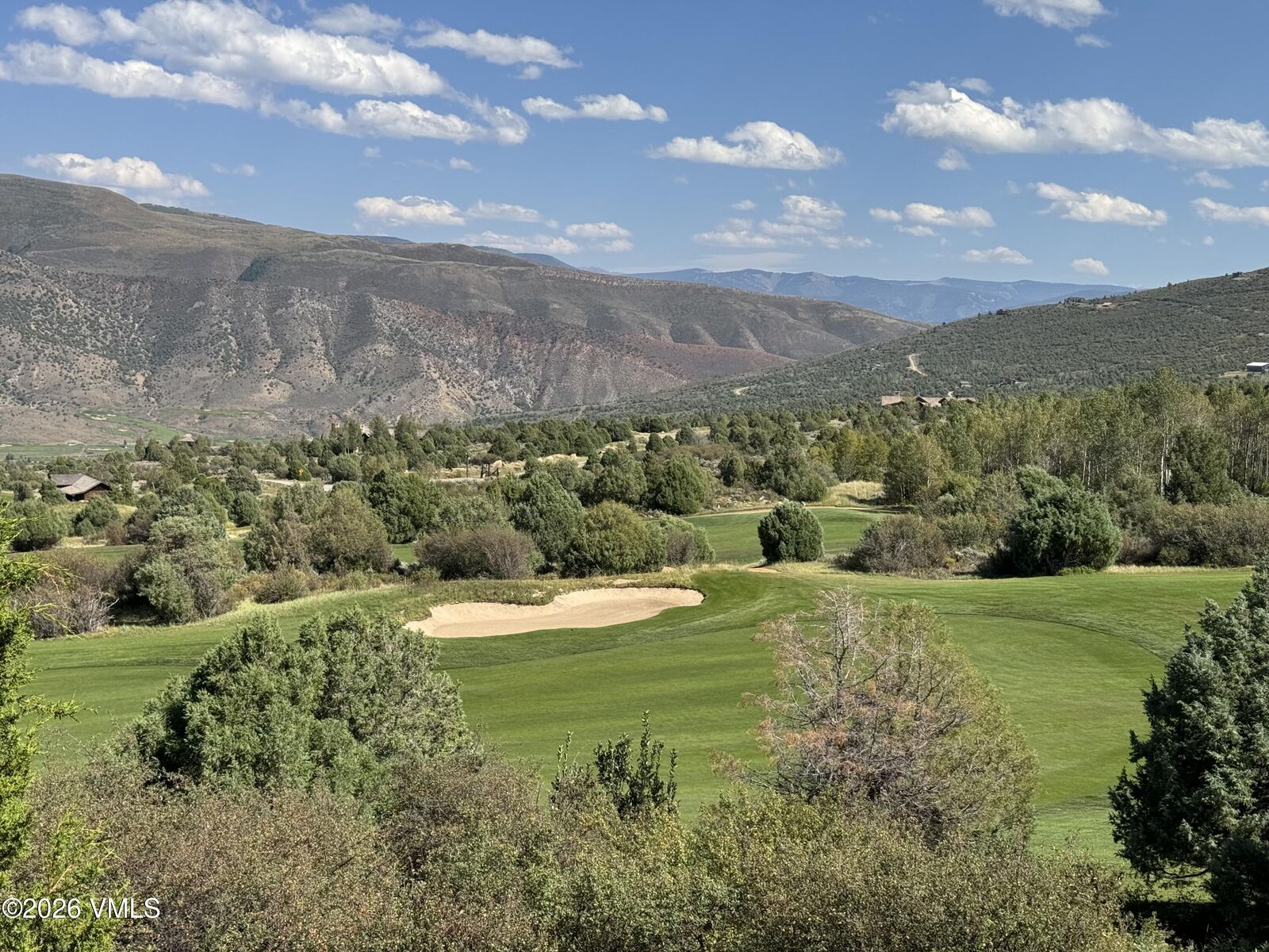 Property Photo:  417 Aspen Bluff Lane  CO 81655 