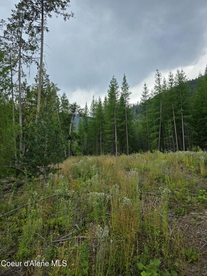 Property Photo:  Nna Westside Rd Parcel 12  ID 83805 