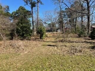 Property Photo: 171 Cherry Tree TX 77351