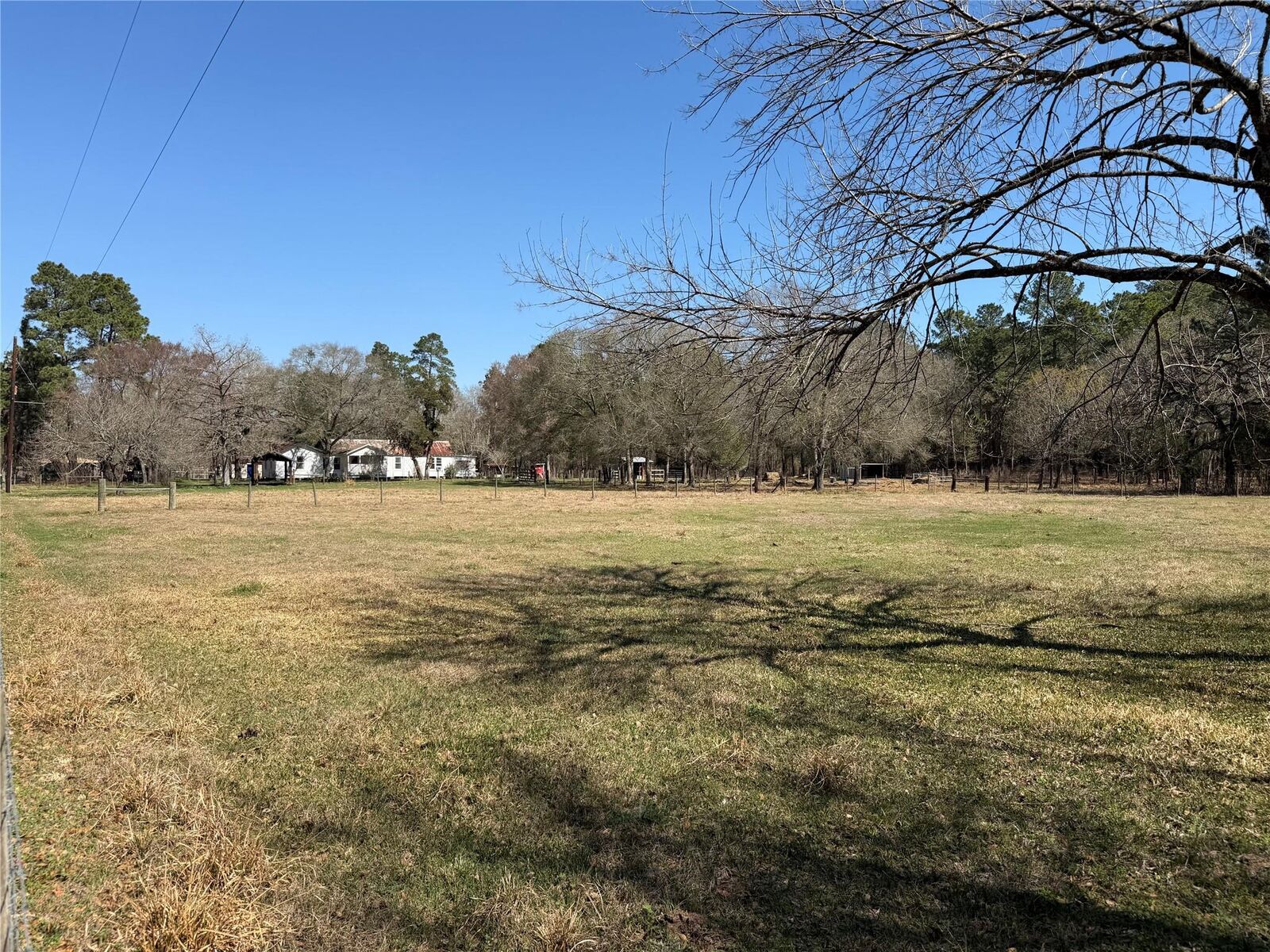 Property Photo:  27002 Hegar Road  TX 77447 