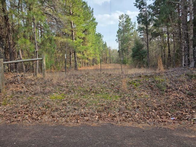 Property Photo:  Tbd 7.85 Ac Cr 3206  TX 75667 