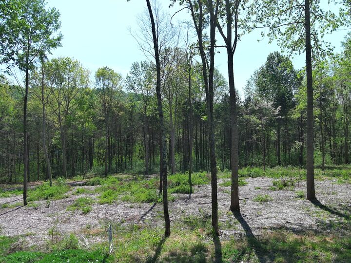 Property Photo: 0 Bedford Lake Rd TN 37160