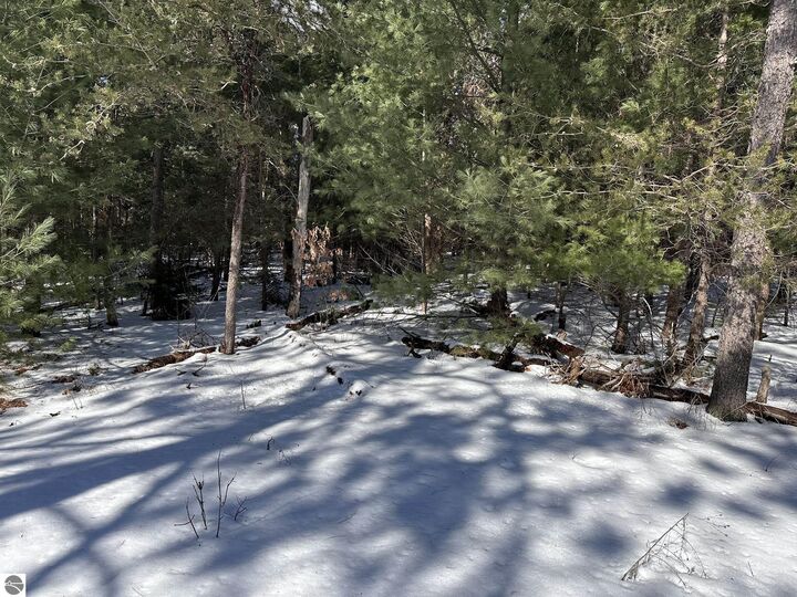 Property Photo:  Honor Highway  MI 49643 