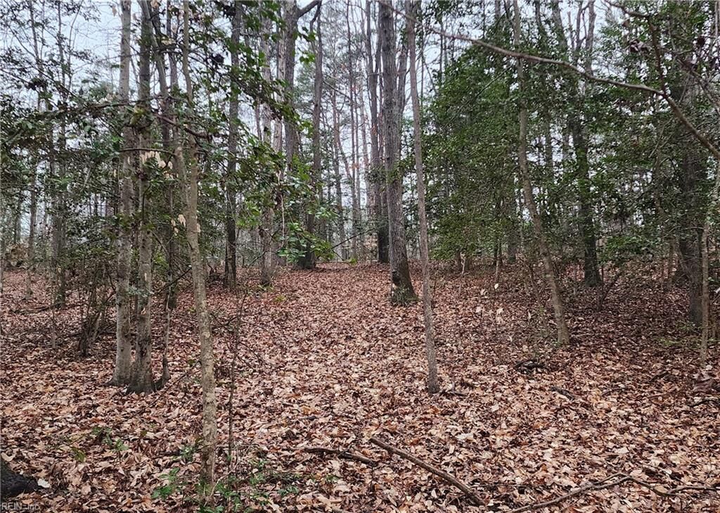 Property Photo: 5.23ac Courthouse Rd VA 23140