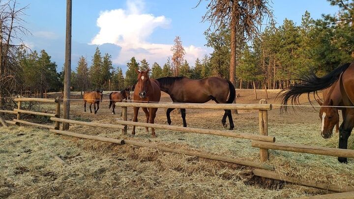 Property Photo:  1810 W Paradise Rd  WA 99224 