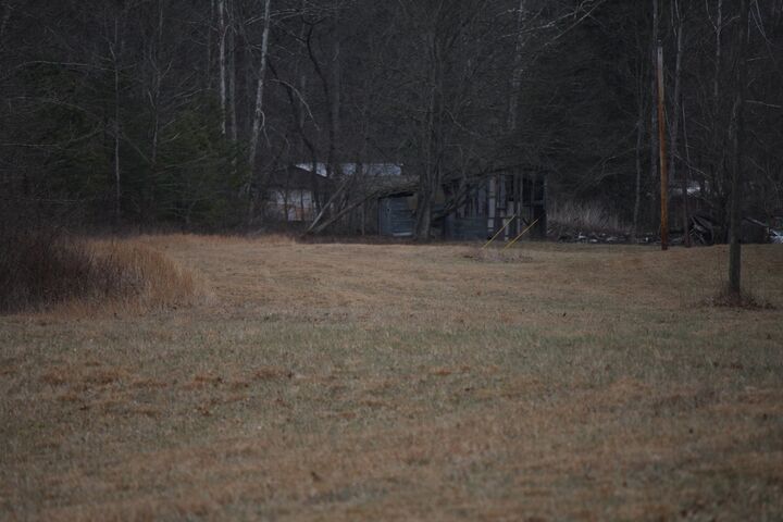 Property Photo:  Boone Branch Rd.  KY 41141 