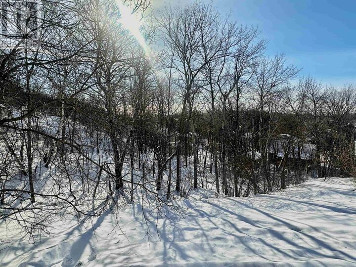 Property Photo:  0 Portage Street  ON P0X 1C0 