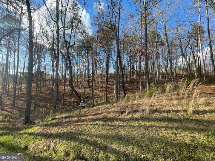 Property Photo:  Lot# 208 Pinnacle Drive 208  GA 30540 