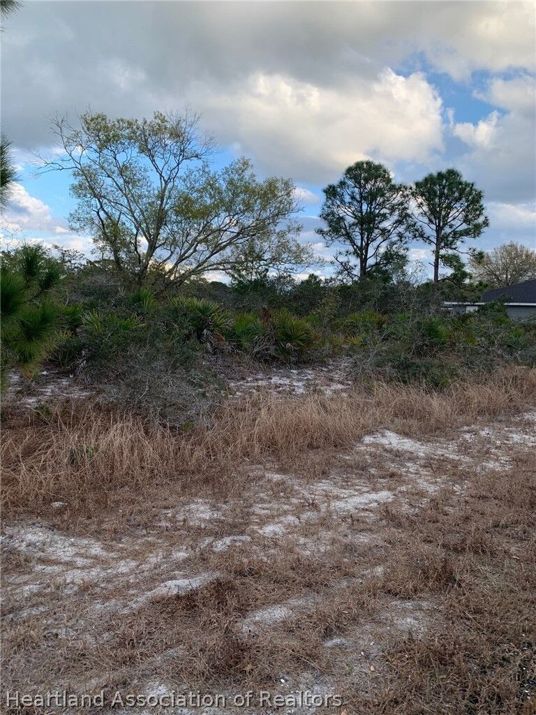 Property Photo:  108 Chippewa Avenue  FL 33852 