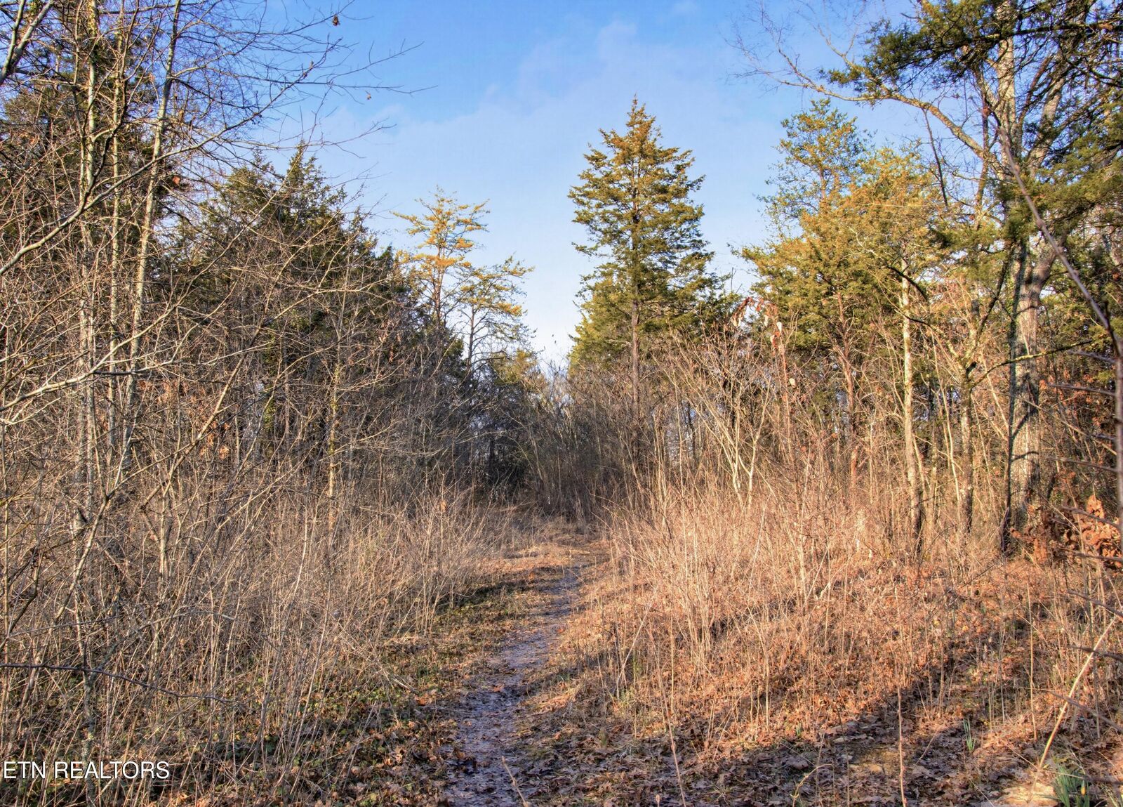 Property Photo:  732 & 734 Hialeah Drive  TN 37920 