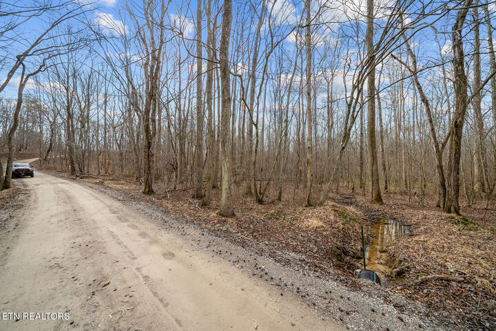 Property Photo:  20 Acres Barbee Cemetery Rd  TN 37367 