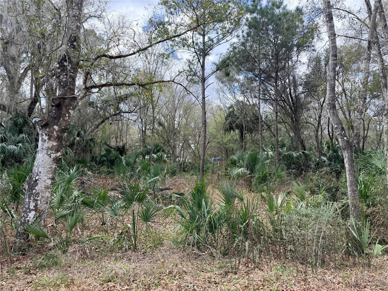 Property Photo:  736 S Sickle Point  FL 34450 