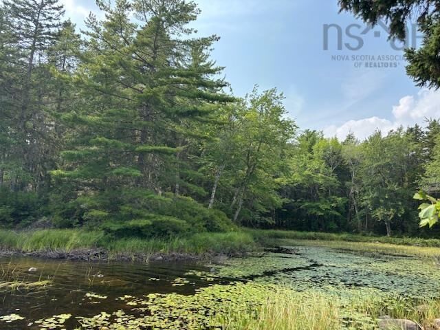 Property Photo:  Lot 25 Beaver Dam Trail  NS B0T 1E0 