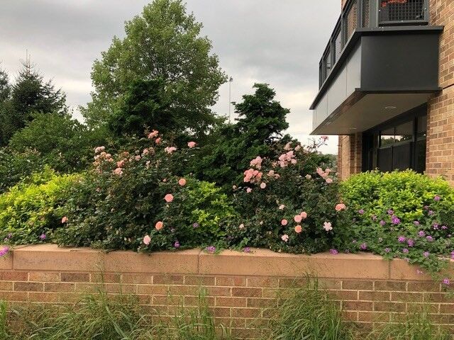 Property Photo:  2400 Beacon 102  MA 02467 