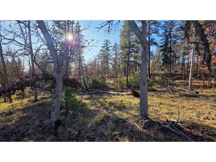 Property Photo:  Lot 119  WA 98620 
