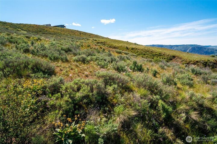 Property Photo:  0  Plata Road Lot 4  WA 98812 