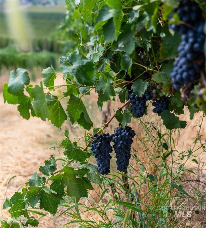 Property Photo:  24013 Arena Valley Rd  ID 83660 