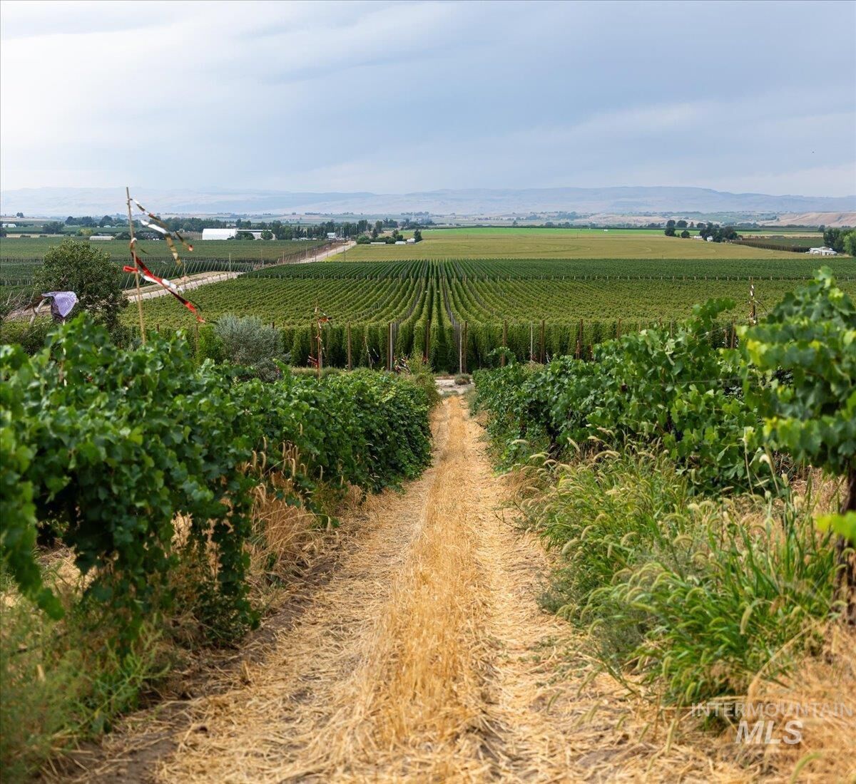 Property Photo:  24013 Arena Valley Rd.  ID 83660 