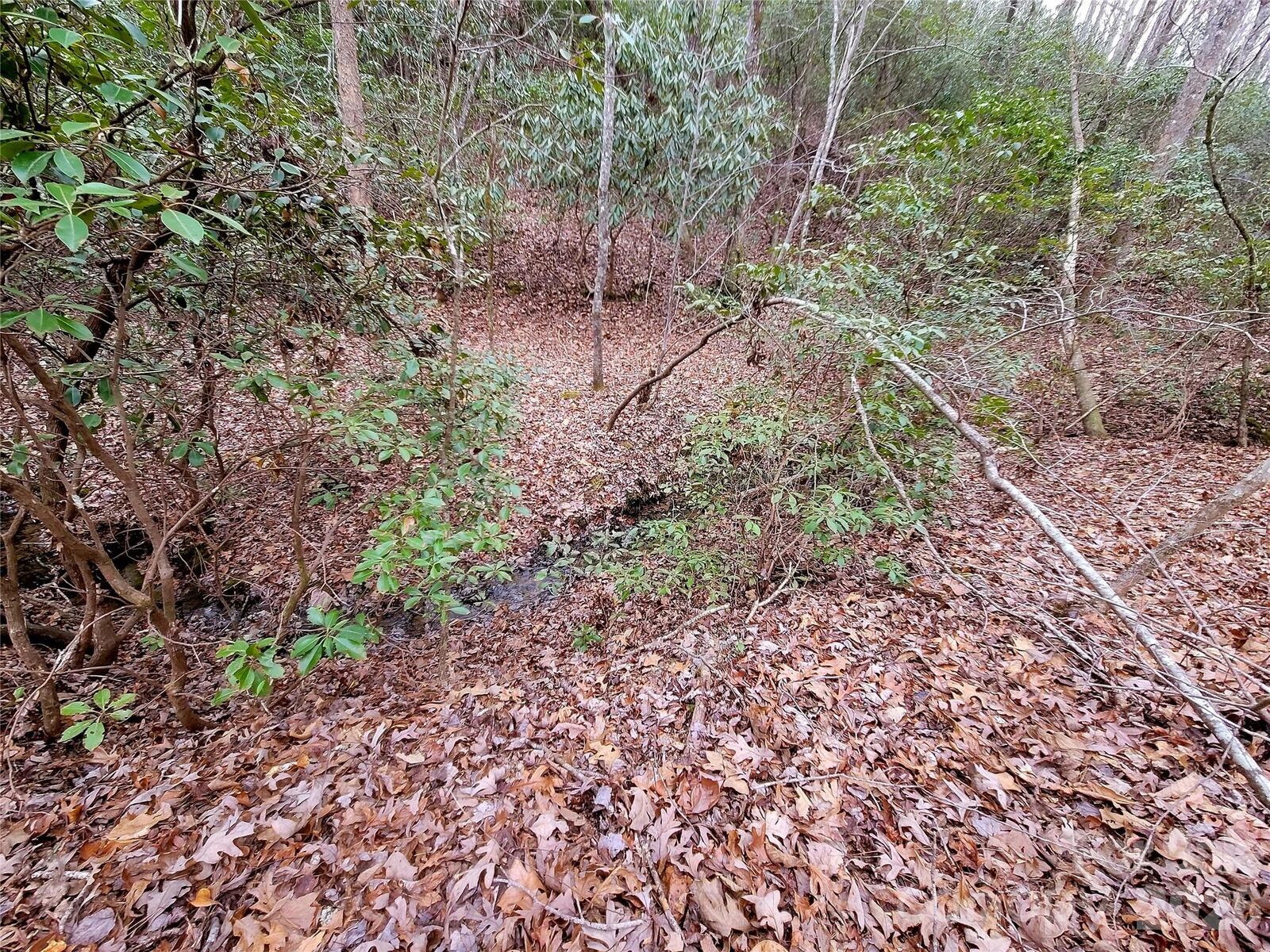 Property Photo:  0 Birddog Boulevard 328  NC 28746 