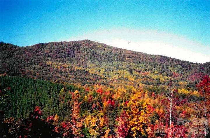 Property Photo:  000 Froggyville Lane  NC 28756 