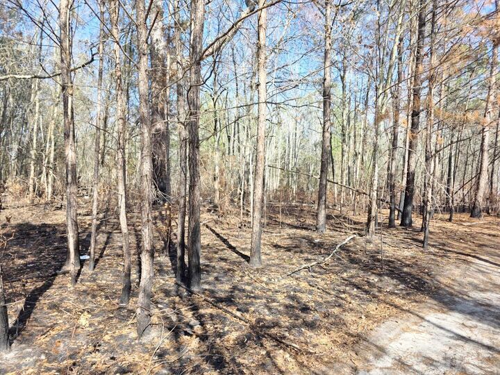 Property Photo:  5 Pompey Road  SC 29102 