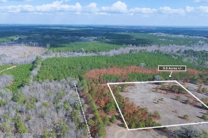 Property Photo:  5 Pompey Road  SC 29102 