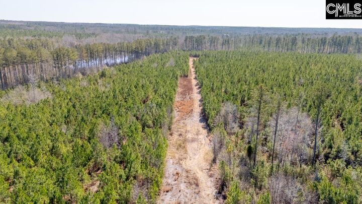 Property Photo:  231 Catalina  SC 29160 