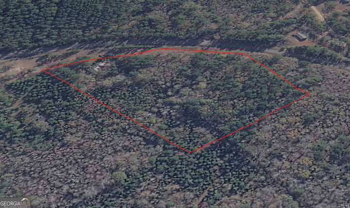 Property Photo:  0 Wadley Coleman Lake  GA 30441 