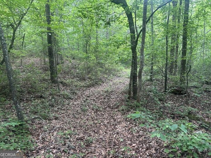 Property Photo: 236 Riversong (Tract 8) GA 30117