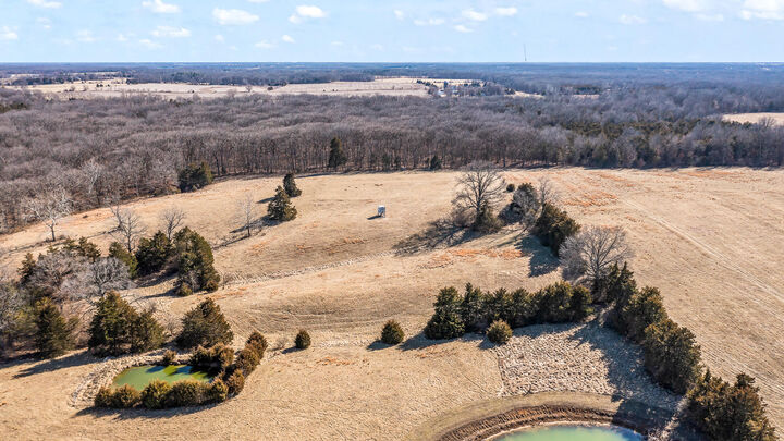 Property Photo:  27.26ac County Road 220  MO 65262 