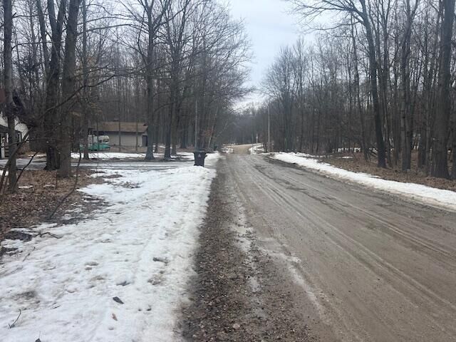 Property Photo:  9735 Pere Marquette Drive  MI 49346 