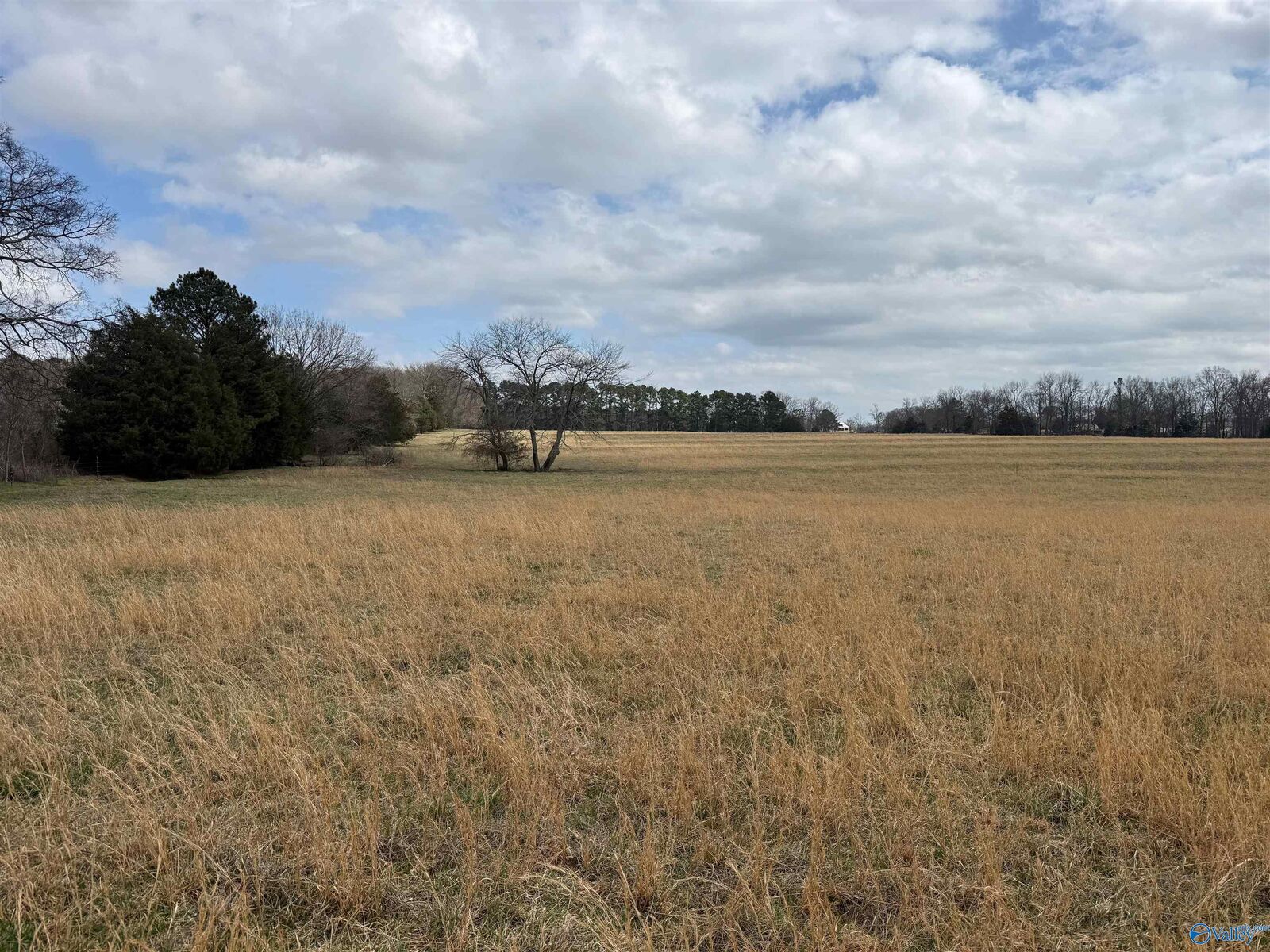 Property Photo:  Lot 1 Holt Road  AL 35613 