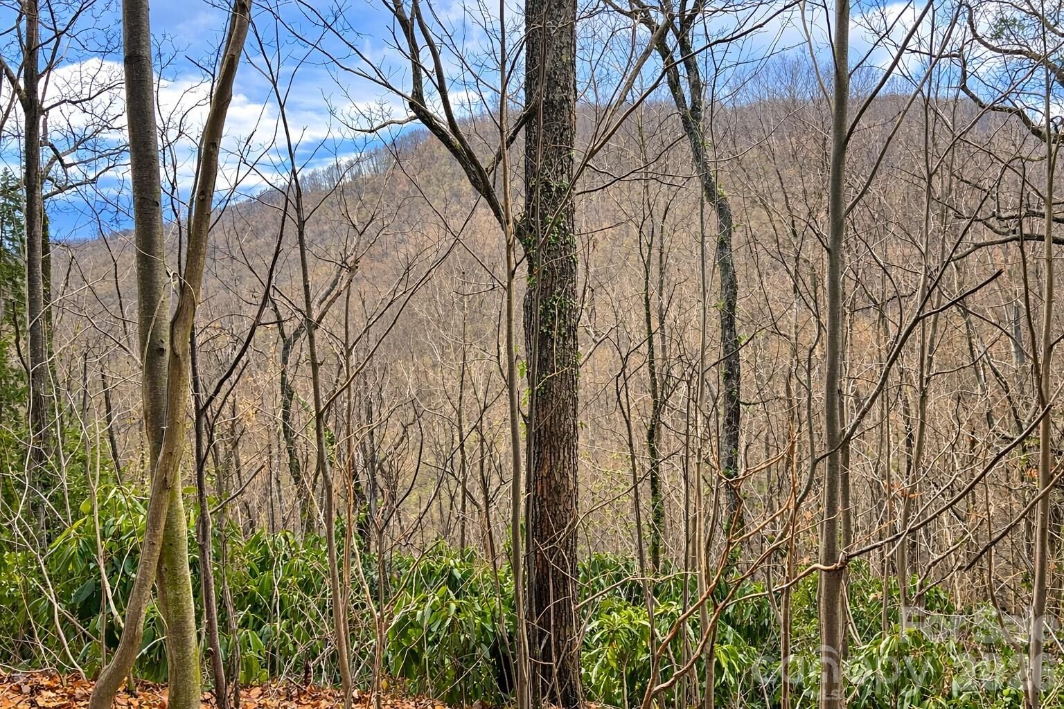 Property Photo:  11 Majestic Overlook Way 36  NC 28715 