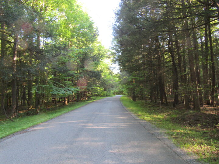 Property Photo:  25 Woolendean Rd  PA 15801 