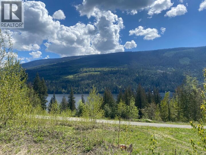 Property Photo:  7540 Russel Creek Forest Service Road 68  BC V0E 0A9 